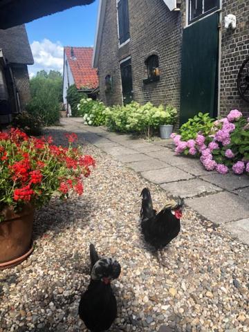 B&B De Beijersche Stee, Logies Aan De Waterkant Stolwijk Extérieur photo