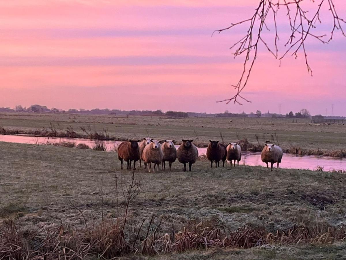B&B De Beijersche Stee, Logies Aan De Waterkant Stolwijk Extérieur photo